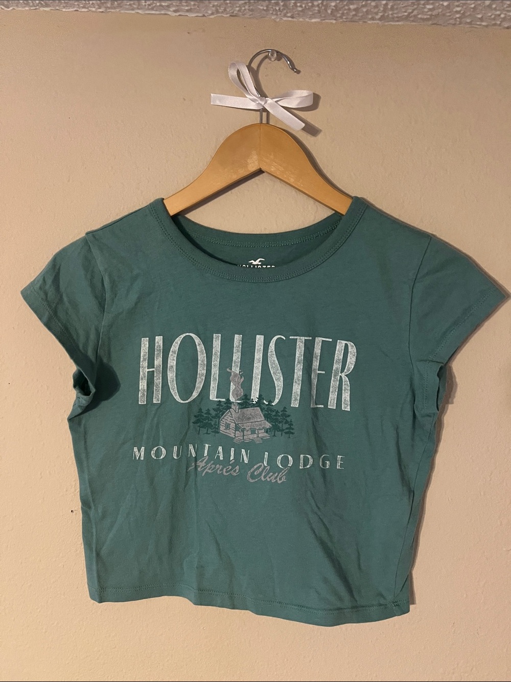 Hollister Teal Mountain Lodge Graphic Crop Tee